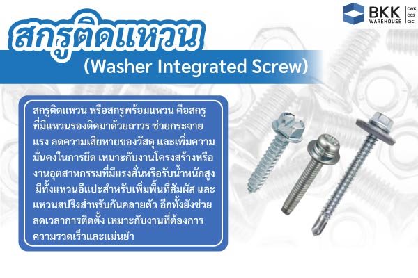 สกรูติดแหวน (Assembles Screw)